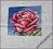 Kwitnąca kolekcja róża haft krzyżykowy rękodzieło