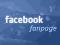 Profesjonalna strona Facebook FanPage Fan Page FV