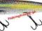 Wobler Salmo WHACKY 12cm SCS pływający NOWOŚĆ 2012