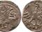Denar 1501-06, Wilno, gotycka A