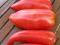 pomidor OPALKA-bycze rogi
