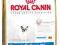 ROYAL FRENCH BULLDOG JUNIOR 8kg + EDUC + KURIER