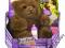 Fur REAL furreal HASBRO Mis bear FABRYCZNE express