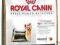 ROYAL CANIN YORK TERRIER ADULT na wagę 1kg- 19 zł