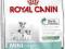 ROYAL CANIN STARTER MINI PROMOCJA 1kg-18 zł+GRATIS