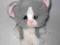 KOTEK KOT KITTY KITTY KITTENS SZARY 25cm