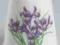 Iris Flower of Year-porcel. naparstek England TCC