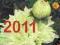 Kalendarz biodynamiczny 2011 z horoskope. od SS