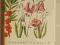 Atlas botaniczny Rośliny lasu liściastego Traczyk