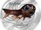 Lanternfish RYBY GŁĘBIN 2010 2 seria HIT !!!