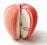 notes jabłuszko jabłko 3D notatnik owoc