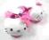 *H&M* _HELLO KITTY __ KAPCIE __ 34/35_ OKAZJA