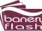 BANERY FLASH - animacja, top, intro, banner