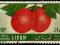 LIBAN. M.561 O - owoce
