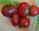 Pomidor Czarne Serce Brada (5)