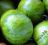 Pomidor GREEN ZEBRA - niezwykły rarytas