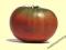 Pomidor Cherokee Purple stara amerykanska odmiana