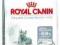 ROYAL CANIN ORAL SENSITIVE 8KG +KALENDARZ +MYSZ!