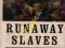 ATS - Franklin and Schweninger - Runaway Slaves