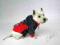 Colari - ubranko kurtka dla psa pieska P01-XL