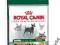 ROYAL CANIN Mini Sensible *** 0,5 kg.TANIO WAWA!!!