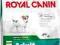ROYAL CANIN MINI ADULT 500G + 300G GRATIS TANIO !!