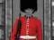 BUCKINGHAM GUARD - Plakat Plakaty PPY-MCPP60175