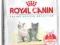 Royal Canin Kitten 36 - 4kg