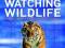 LONELY PLANET A YEAR OF WATCHING WILDLIFE