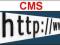 Strony internetowe strona internetowa www CMS