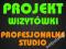 Projekt wizytówki - Profesjonalnie STUDIO FV