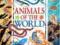 Animals of the World