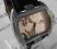 ZEGAREK DAMSKI  TIMEMASTER 153/58 KURIER  GWAR 36M