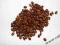 ARABICA INDYJSKA MYSORE AA 100 GRAM - RAFEX