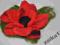 czerwone maki - broszka z filcu-filc