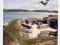 ORKNEY ISLANDS - Scotia - Skara Brae -