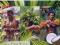 FIJI ISLANDS - Fijian Warriors -