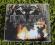 Dimmu Borgir - The Invaluable Darkness 2DVD+CD