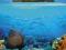 Rafa Koralowa - Wyspa - Raj - plakat 91,5x61 cm