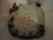 Karaczan argentyński 100sztuk ok 2cm + Gratis
