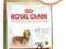 Royal Canin DACHSHUND 28 ADULT  1,5kg