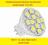 Żarówka MR11 12 led SMD 5050 12V DC ciepła 6 30 9