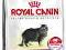 ROYAL CANIN SENSIBLE 4kg + KURIER GRATIS PROMOCJA