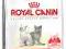 ROYAL CANIN KITTEN 400+400g GRATIS WROCŁAW