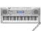 Keyboard CASIO CTK-800