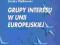 Graniszewski Grupy interesu w Unii Europejskiej