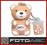 Emtec PenDrive 4GB Animals MIŚ TEDDY - ŁÓDŹ sklep