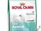 ROYAL CANIN MINI JUNIOR 1 KG  YORK SHIH ORYGINAŁ!
