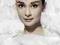 Audrey Hepburn (white) - plakat 61x91,5 cm