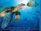 OCEAN PRZYGÓD 3D (Blu-ray) @ 24h @